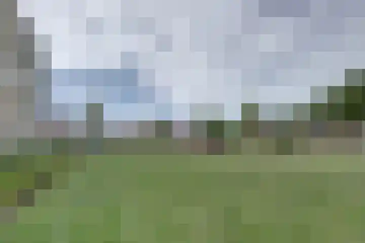 De Poel 12 Rijnsburg thumbnail 52