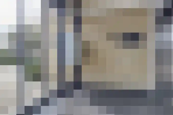 De Poel 12 Rijnsburg thumbnail 8