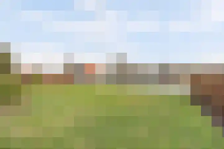 De Poel 13 Woudsend thumbnail 10