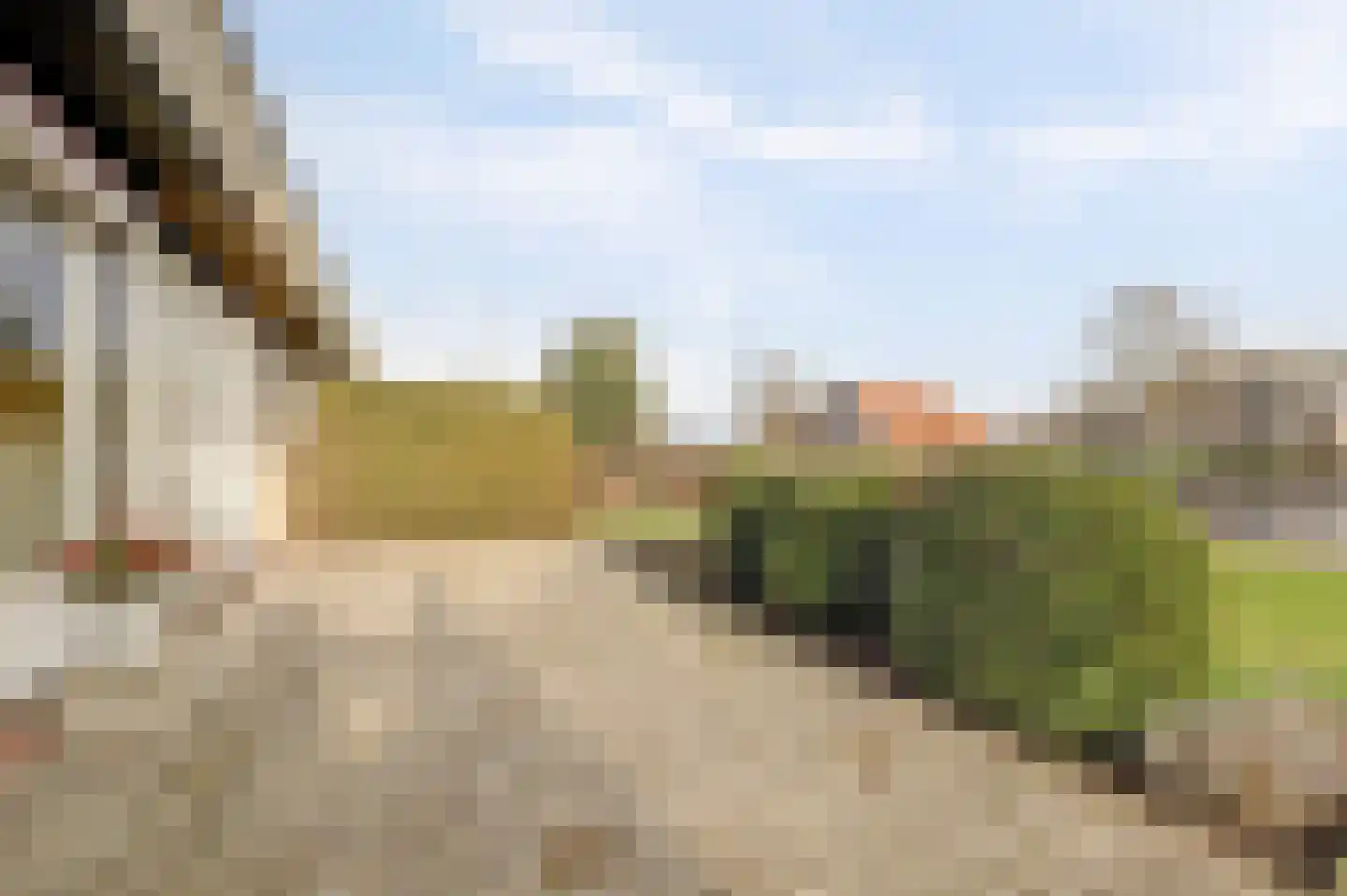 De Poel 13 Woudsend thumbnail 10