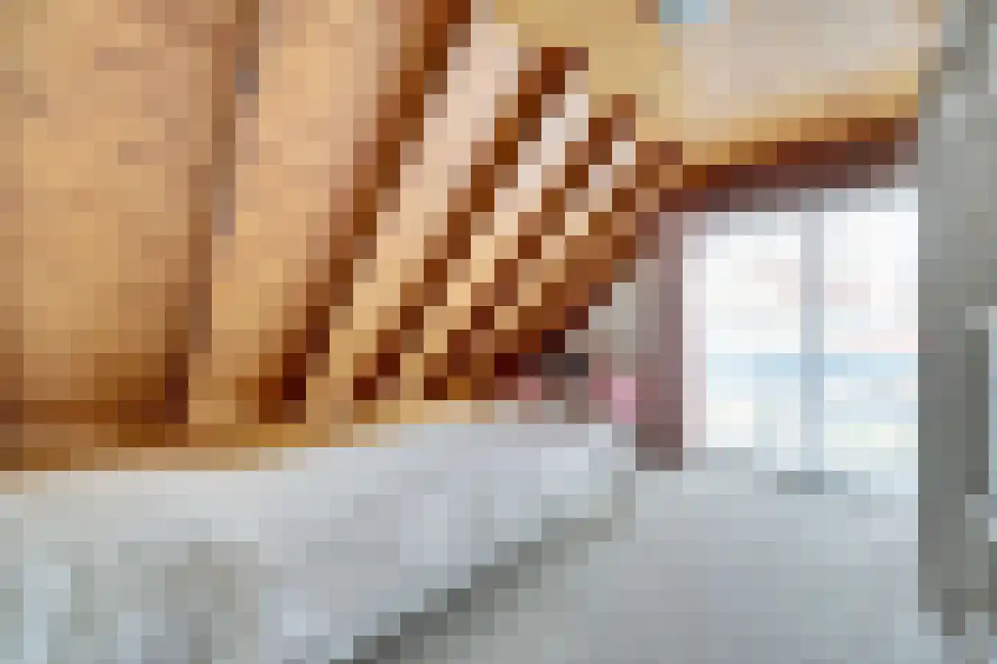 De Poel 13 Woudsend thumbnail 24