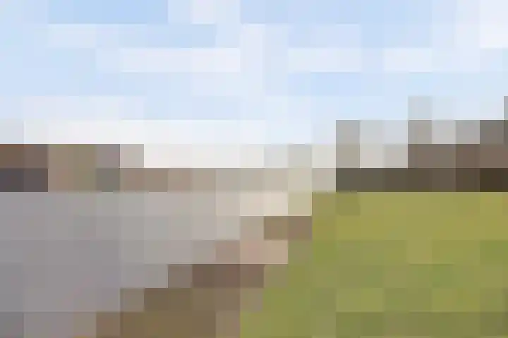 De Poel 13 Woudsend thumbnail 37