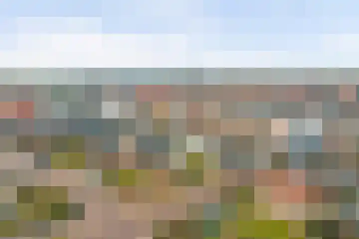 De Poel 13 Woudsend thumbnail 6