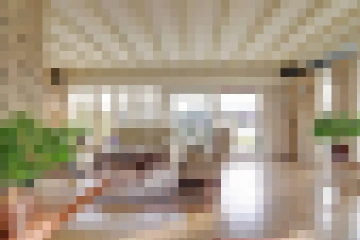De Poel 13 Woudsend thumbnail 8