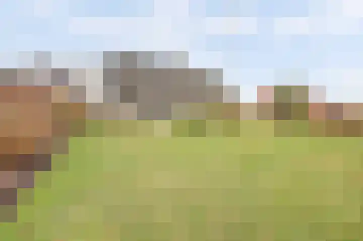 De Poel 13 Woudsend thumbnail 9