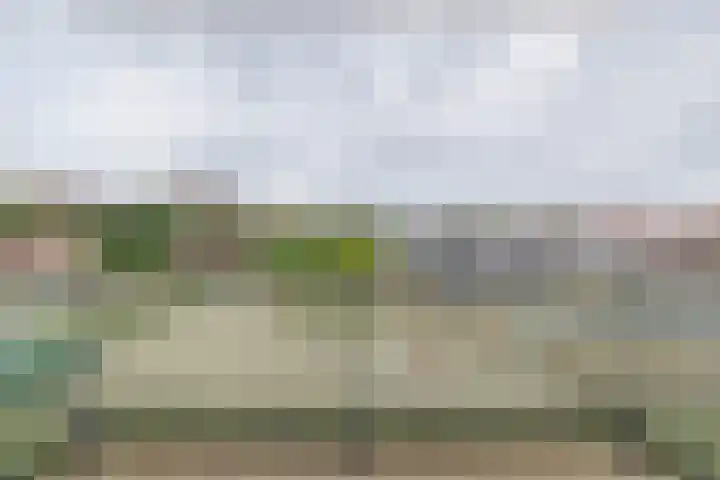 De Poel 22 Rijnsburg thumbnail 11