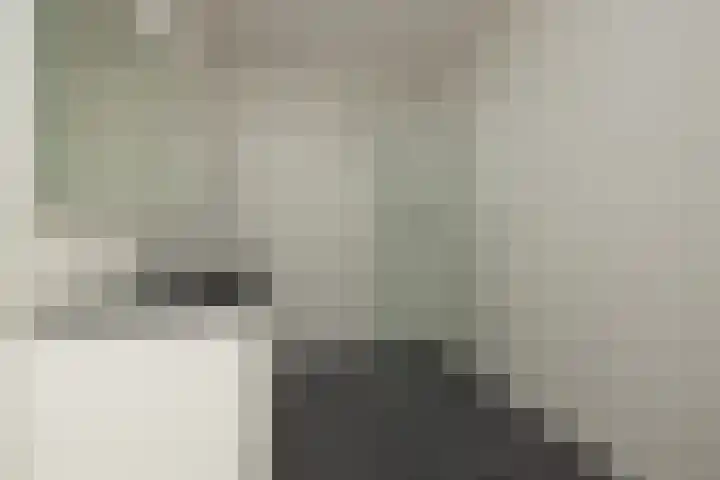 De Poel 22 Rijnsburg thumbnail 17