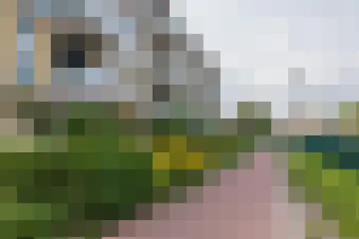 De Poel 22 Rijnsburg thumbnail 25