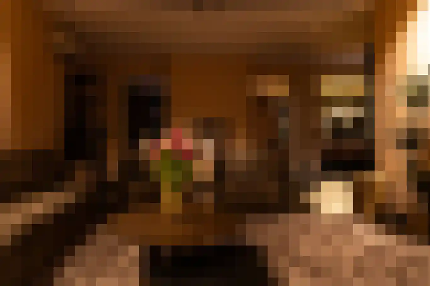 De Poel 4 H Monster thumbnail 11