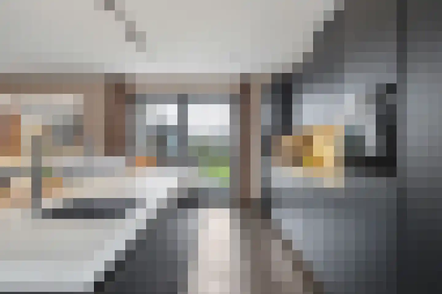 De Poel 4 H Monster thumbnail 25