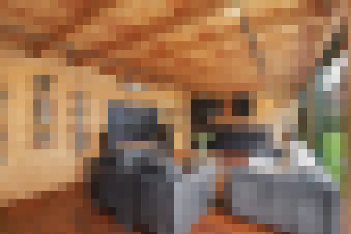 De Poel 4 H Monster thumbnail 33