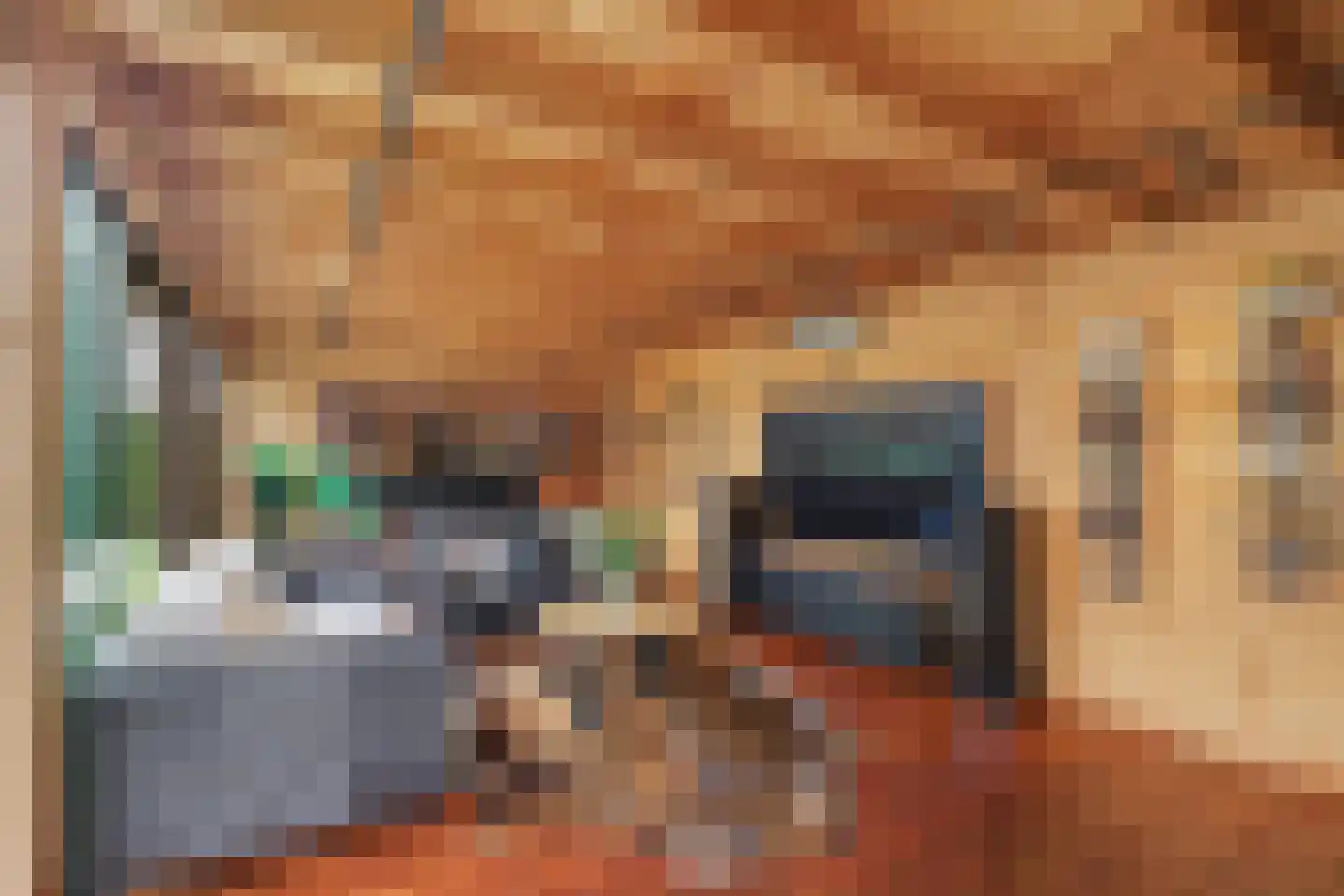 De Poel 4 H Monster thumbnail 34