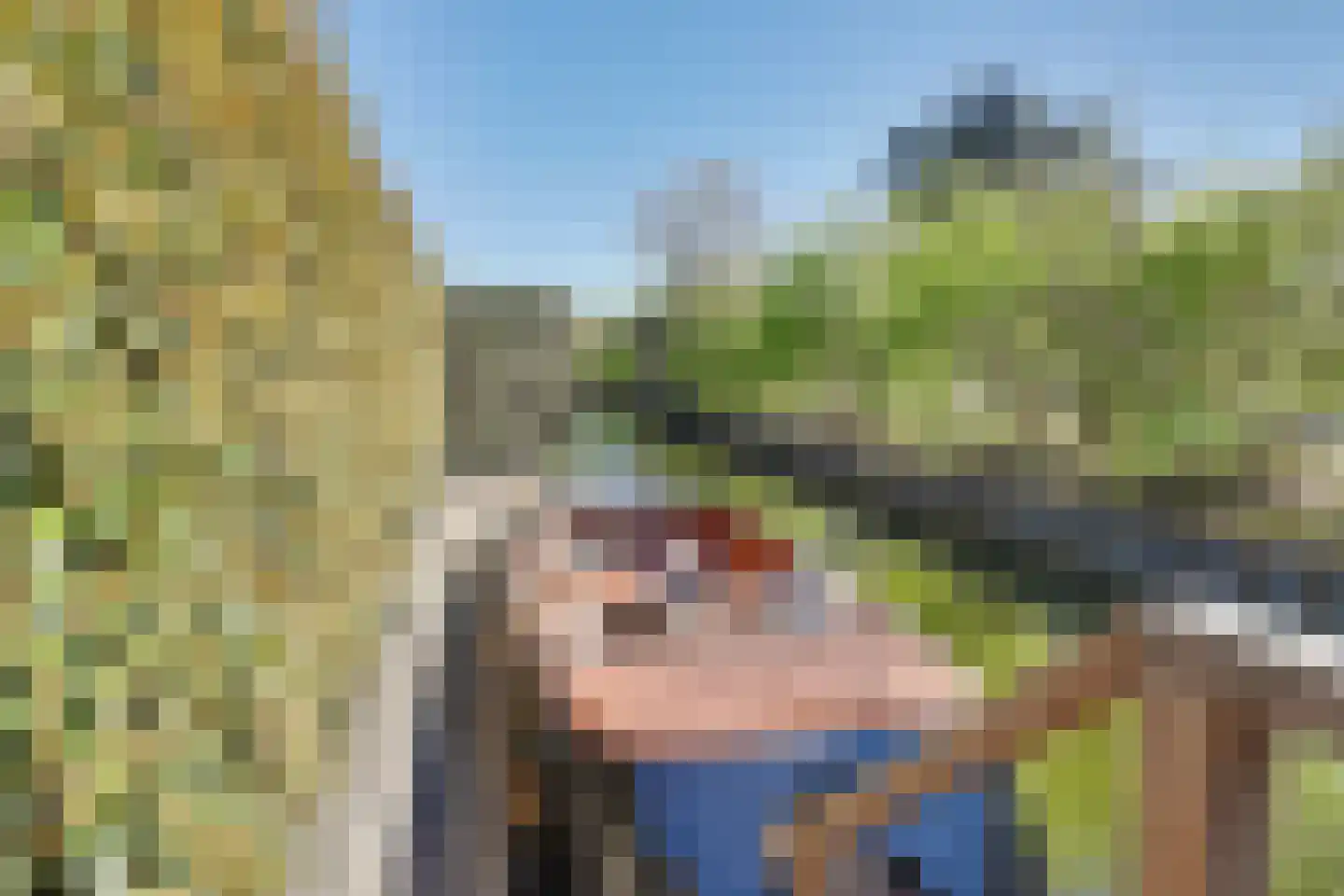 De Poel 4 H Monster thumbnail 36