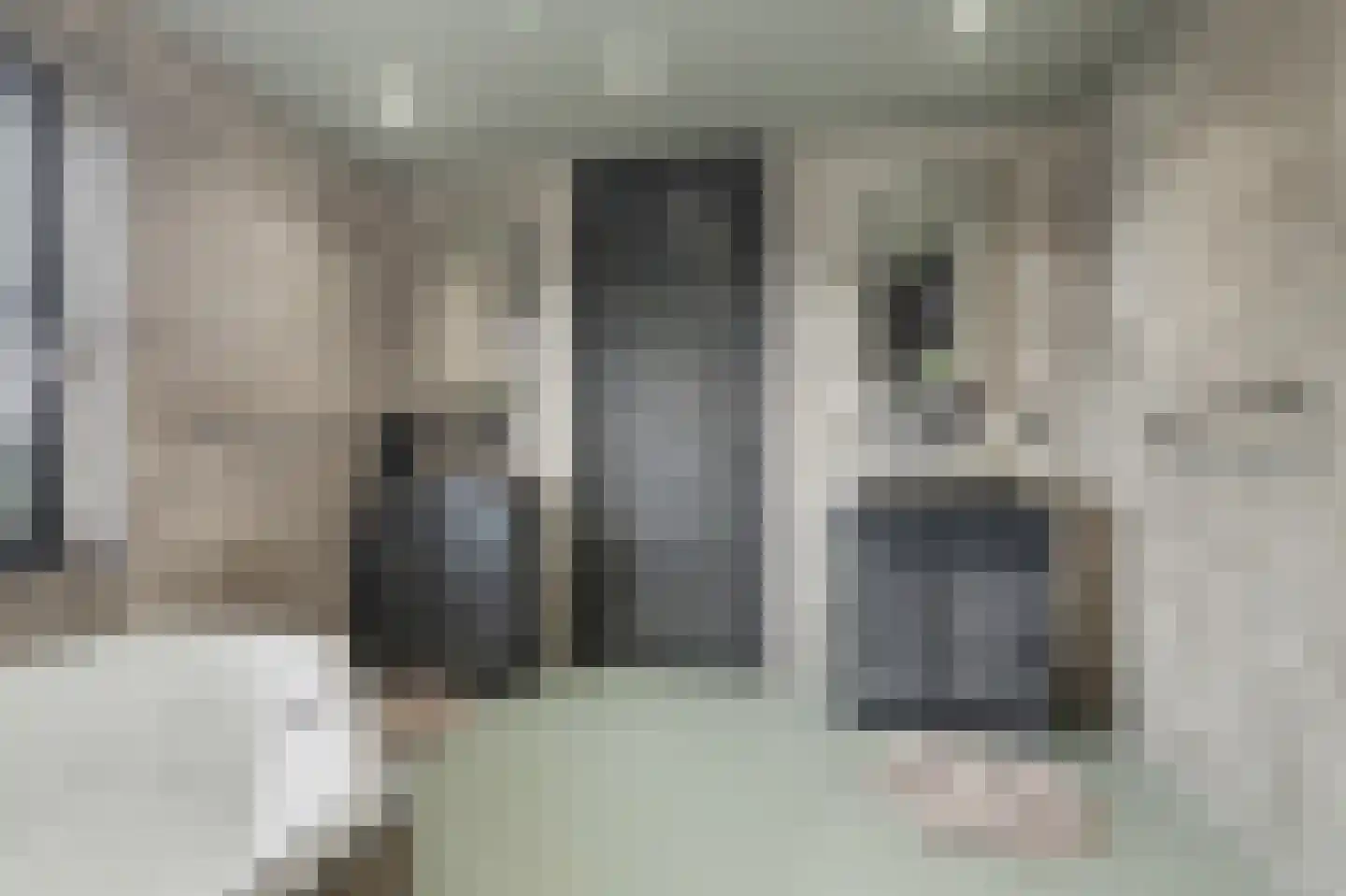 De Poel 4 H Monster thumbnail 41