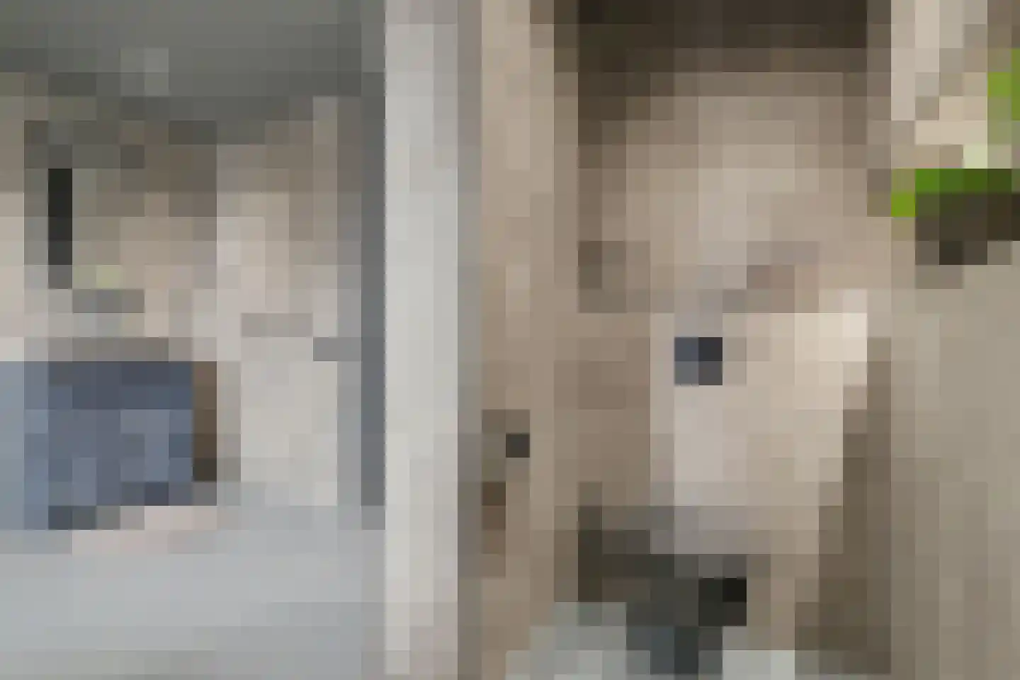 De Poel 4 H Monster thumbnail 45