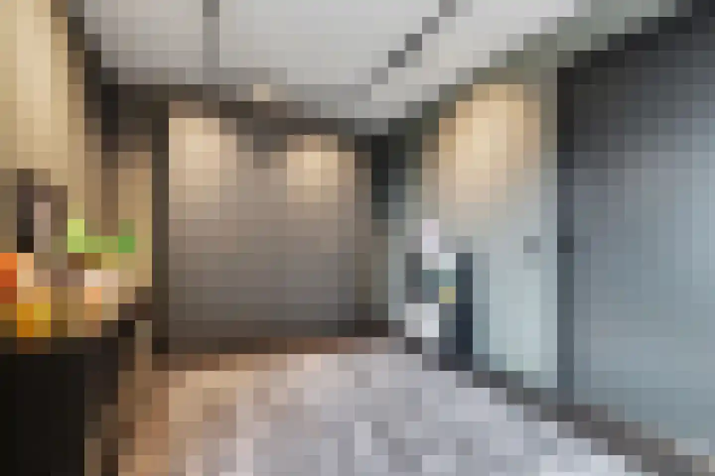 De Poel 4 H Monster thumbnail 47