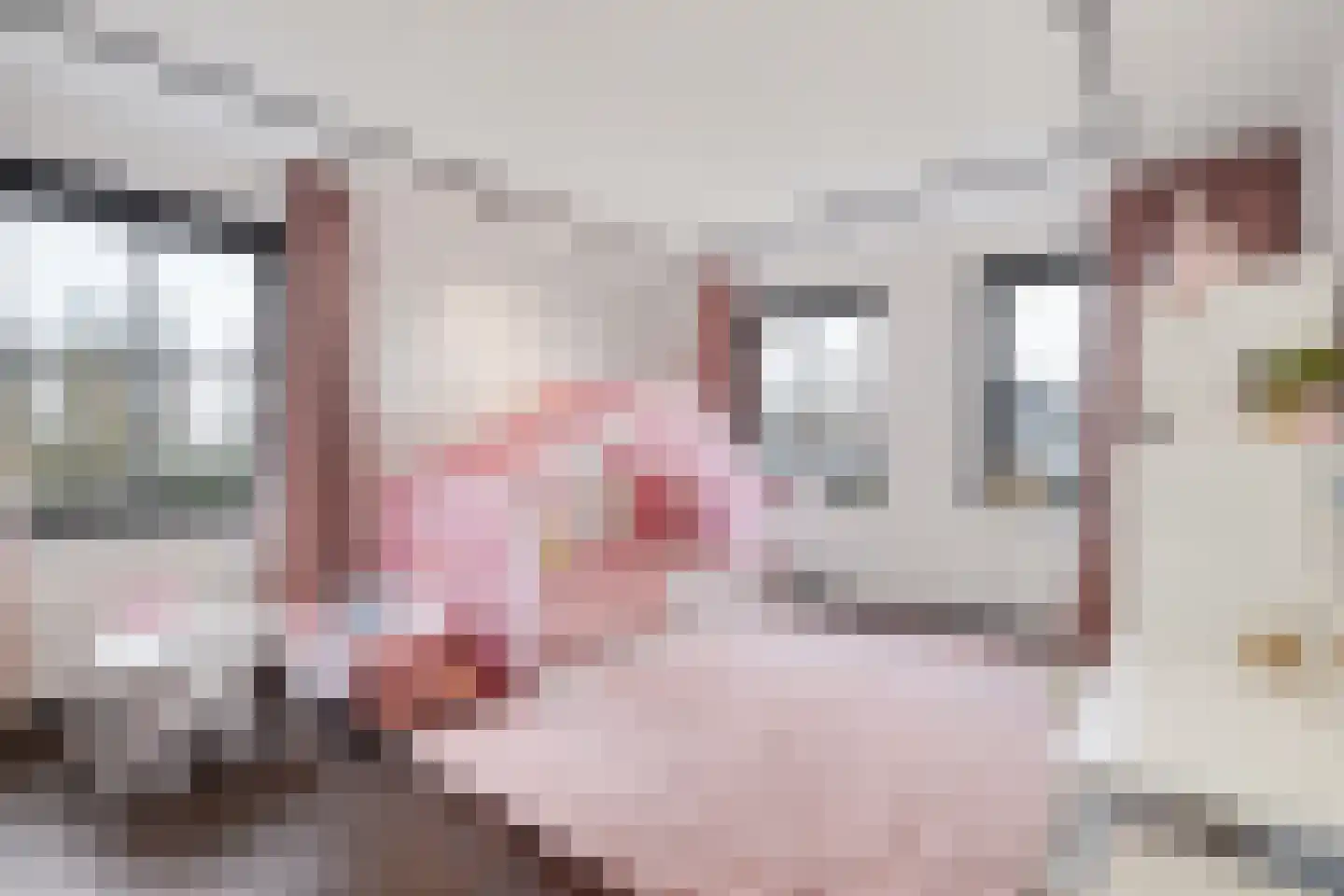 De Poel 4 H Monster thumbnail 48