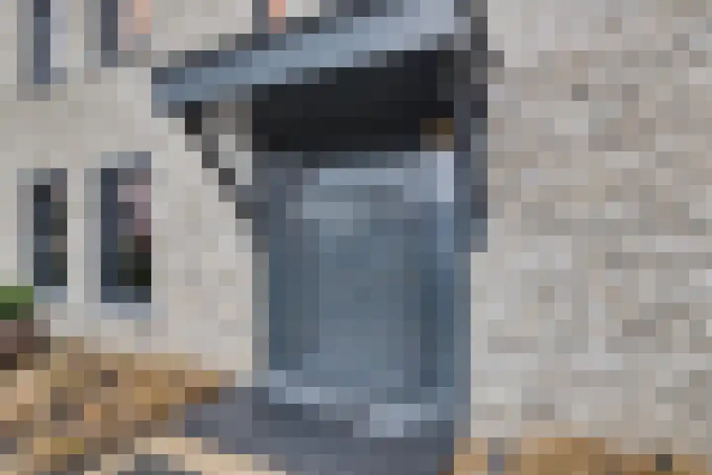 De Poel 4 H Monster thumbnail 5