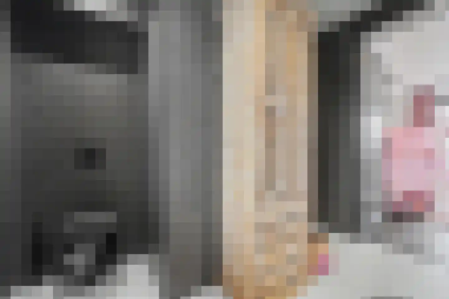 De Poel 4 H Monster thumbnail 50