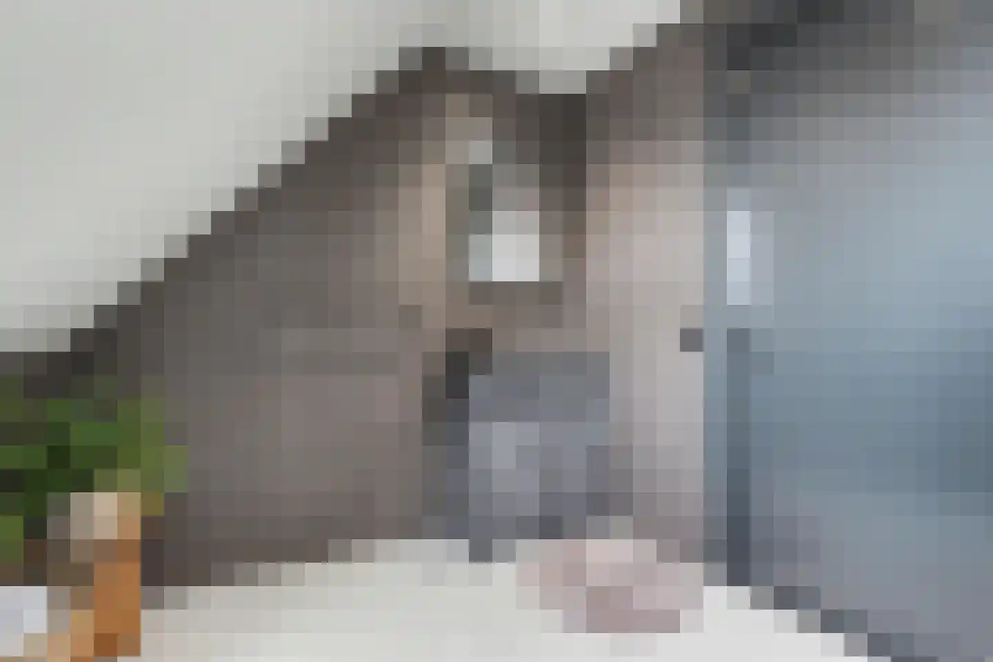 De Poel 4 H Monster thumbnail 56