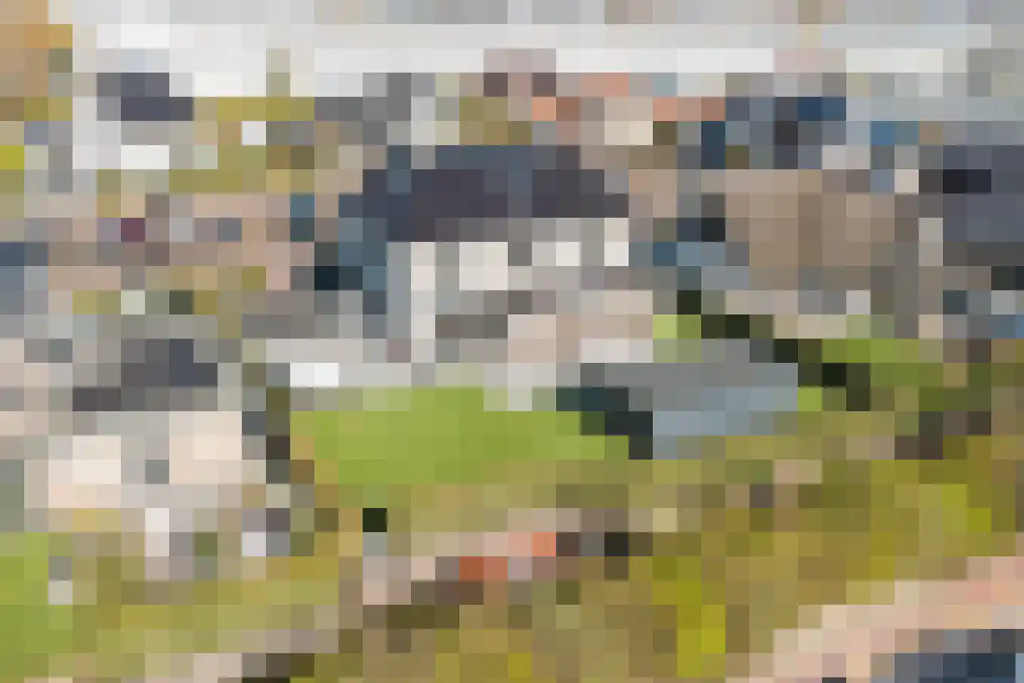 De Poel 4 H Monster thumbnail 64