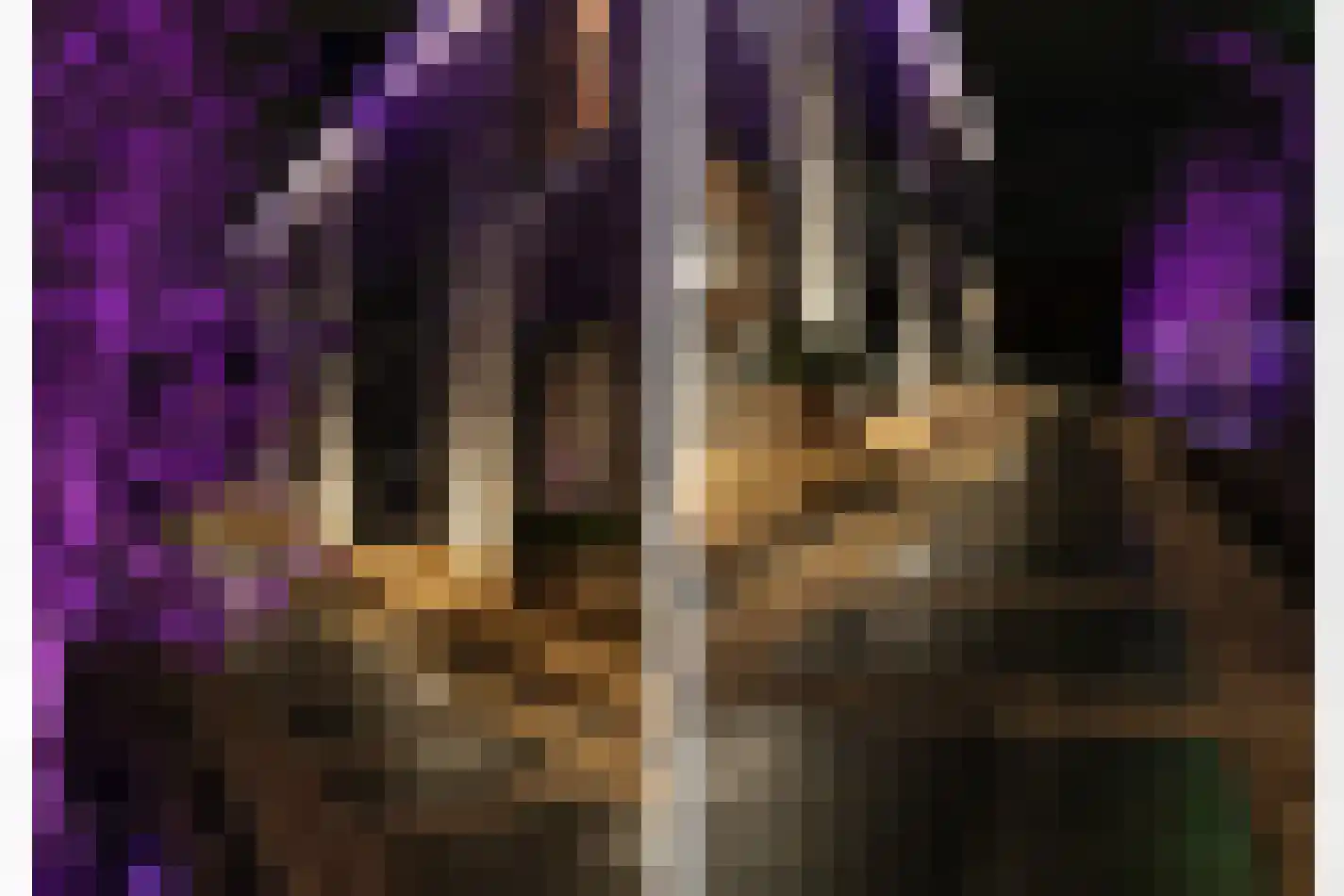 De Poel 4 H Monster thumbnail 67