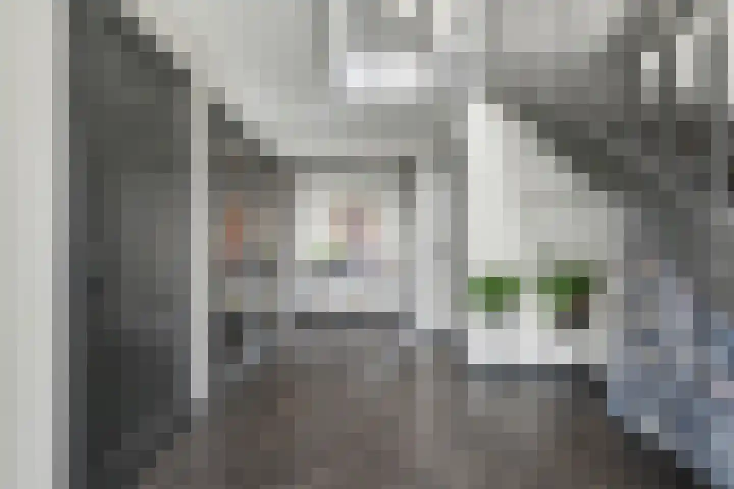 De Poel 4 H Monster thumbnail 7