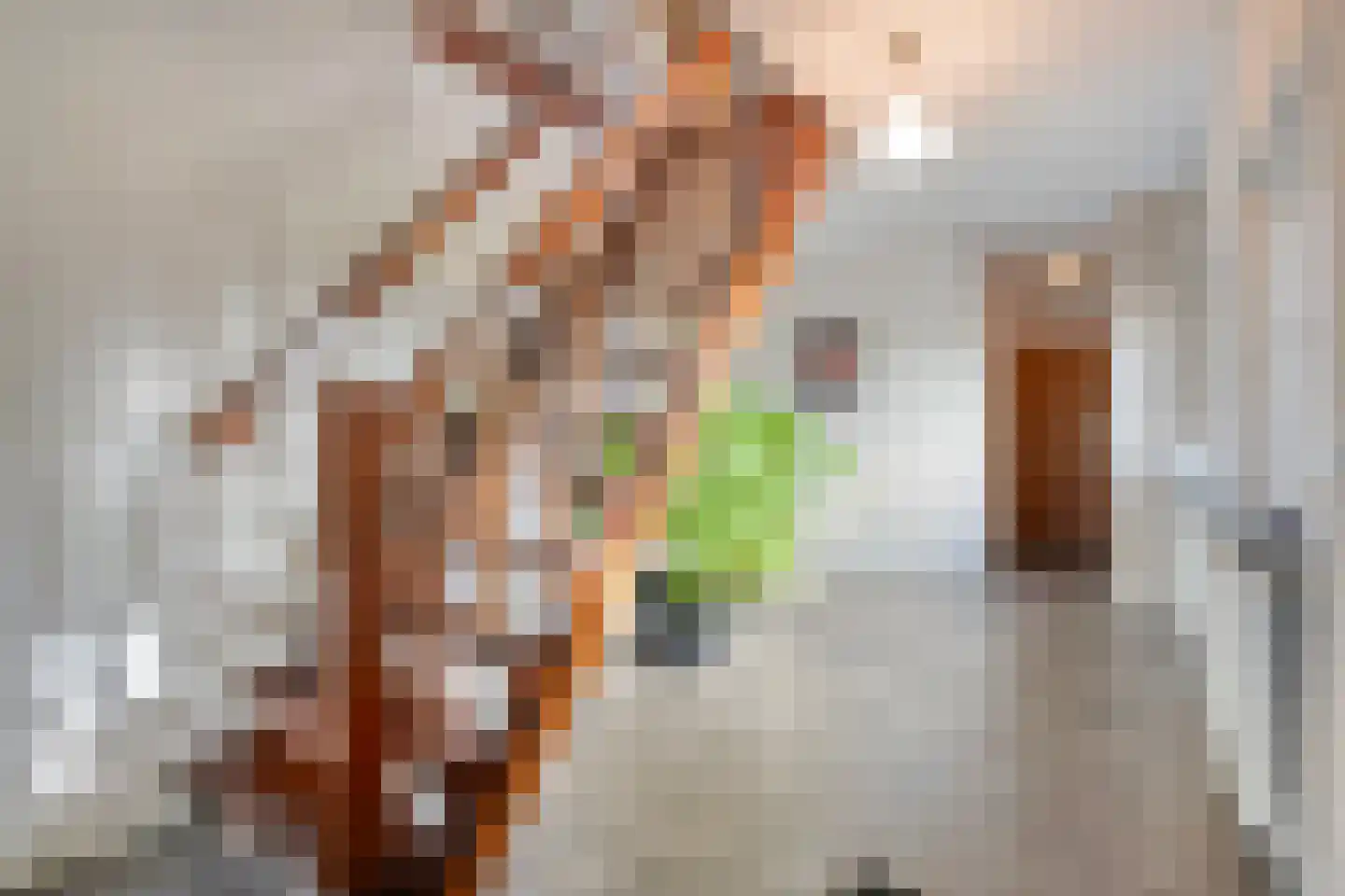 De Poele 2 Balkbrug thumbnail 13