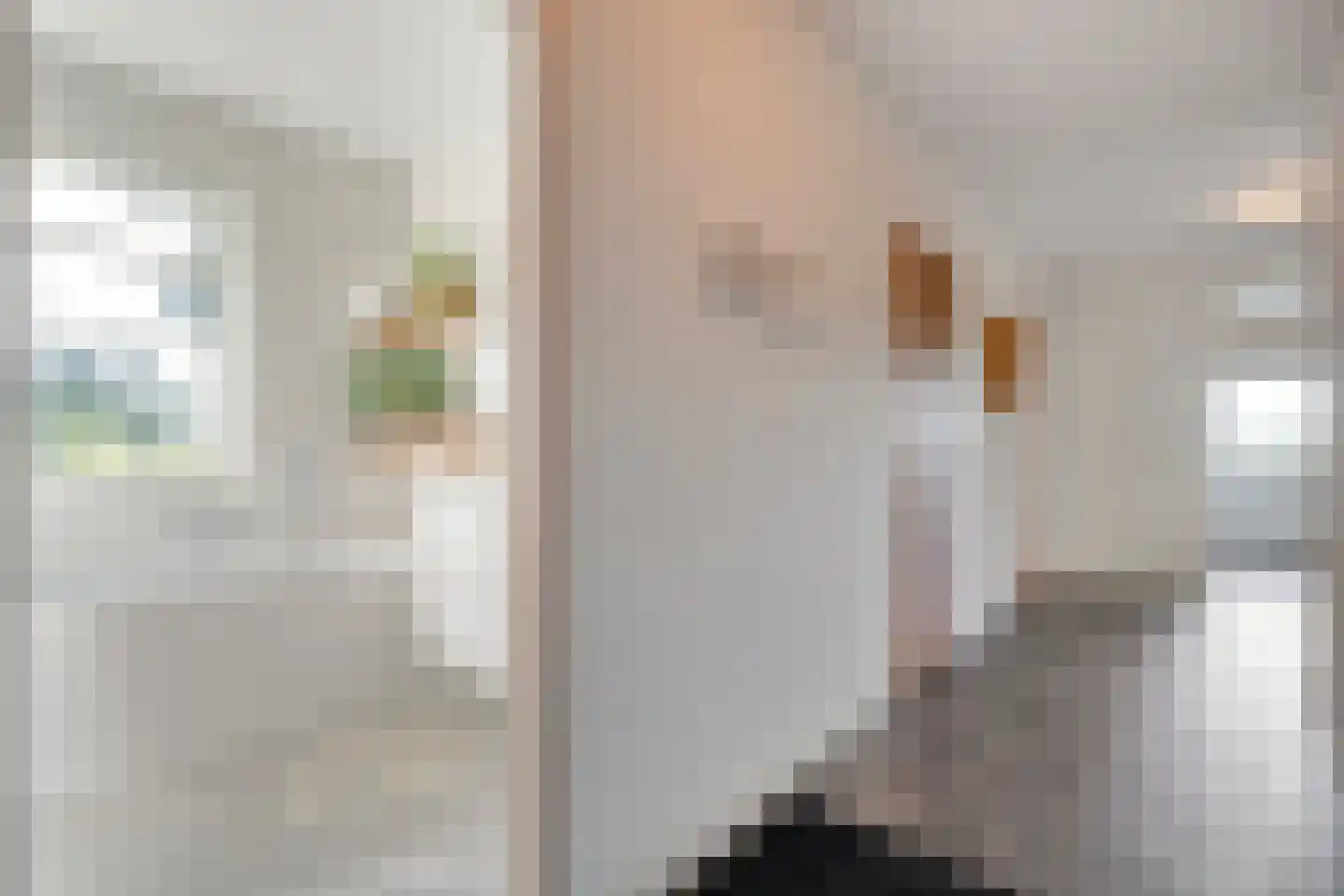 De Poele 2 Balkbrug thumbnail 17