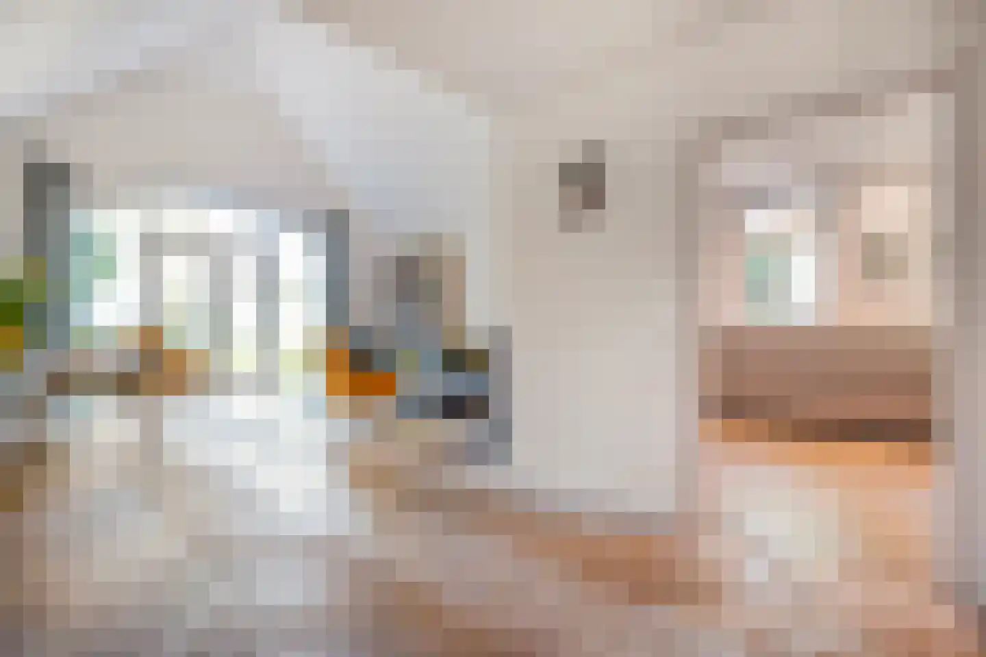 De Poele 2 Balkbrug thumbnail 18