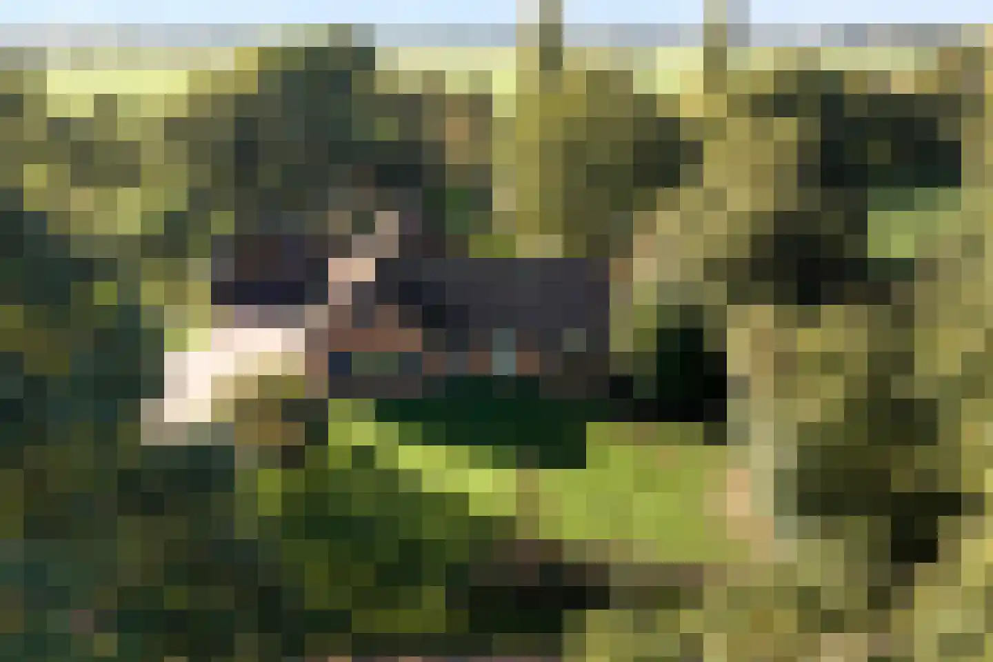 De Poele 2 Balkbrug thumbnail 4