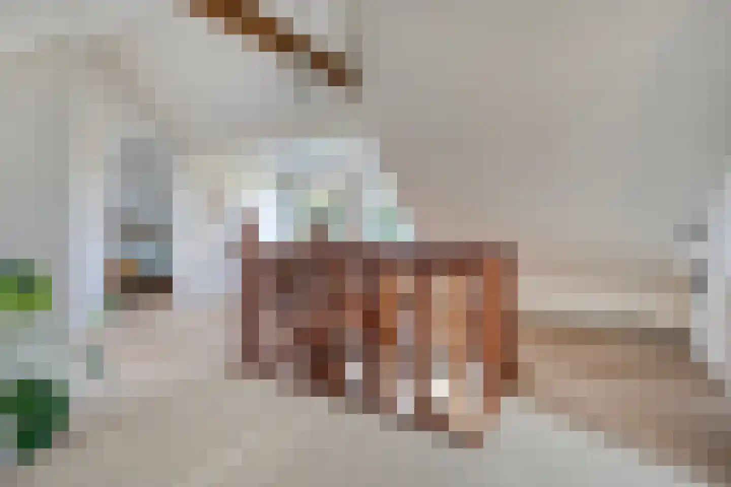 De Poele 2 Balkbrug thumbnail 46