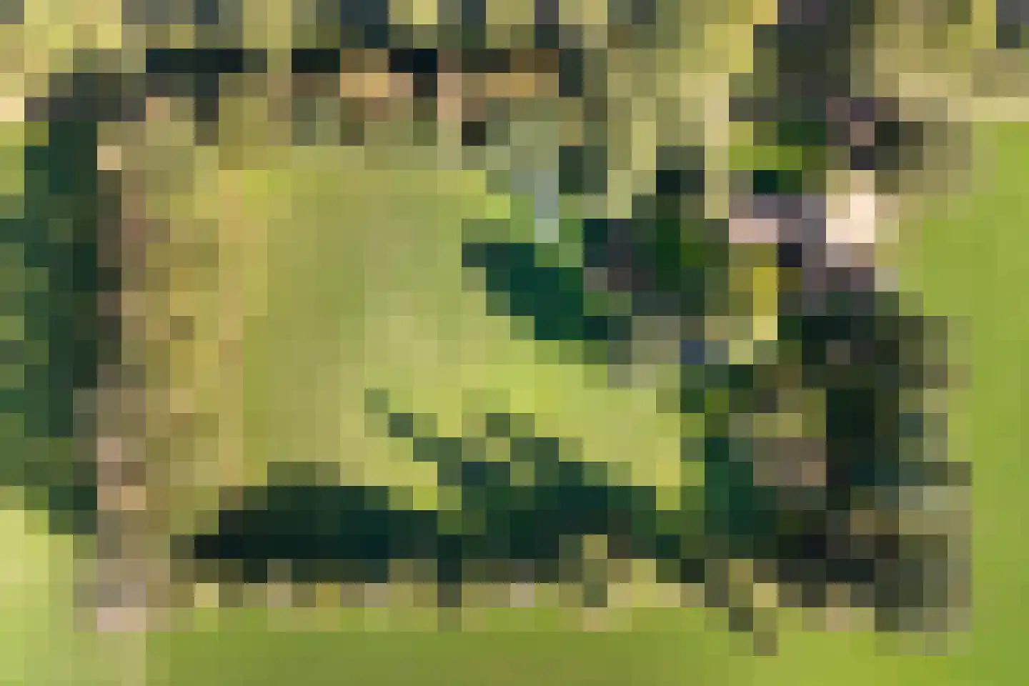 De Poele 2 Balkbrug thumbnail 5