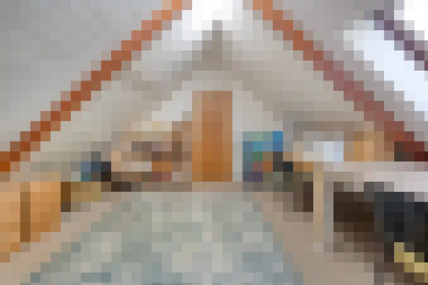 De Poele 2 Balkbrug thumbnail 51
