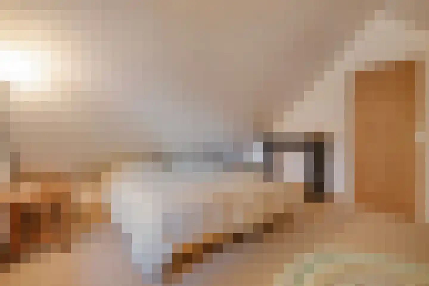 De Poele 2 Balkbrug thumbnail 53