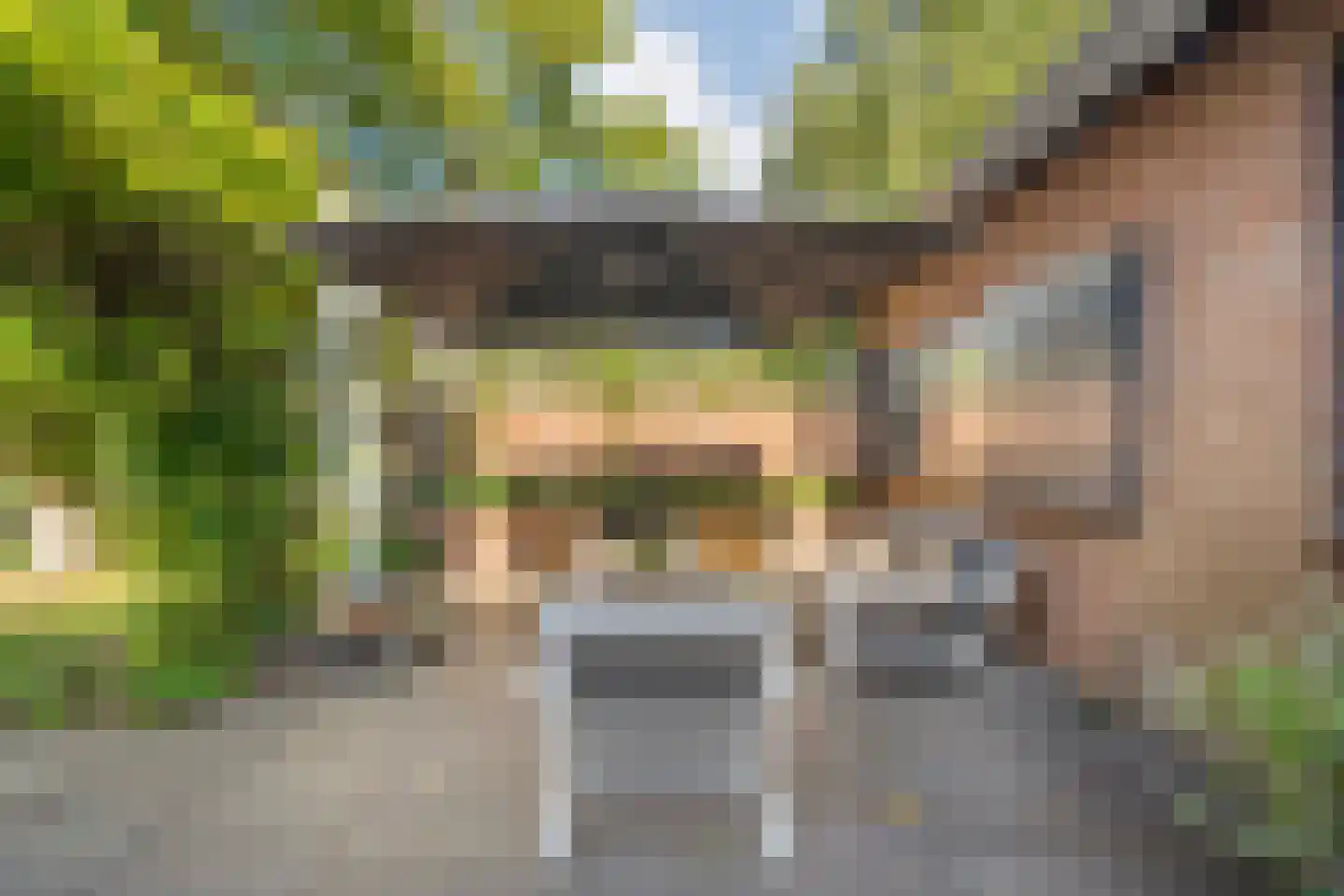 De Poele 2 Balkbrug thumbnail 55