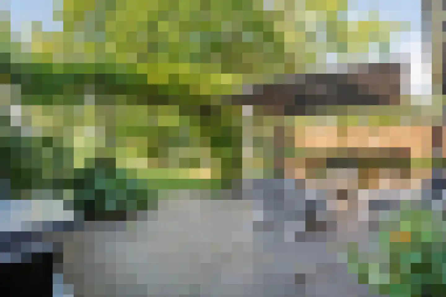 De Poele 2 Balkbrug thumbnail 56