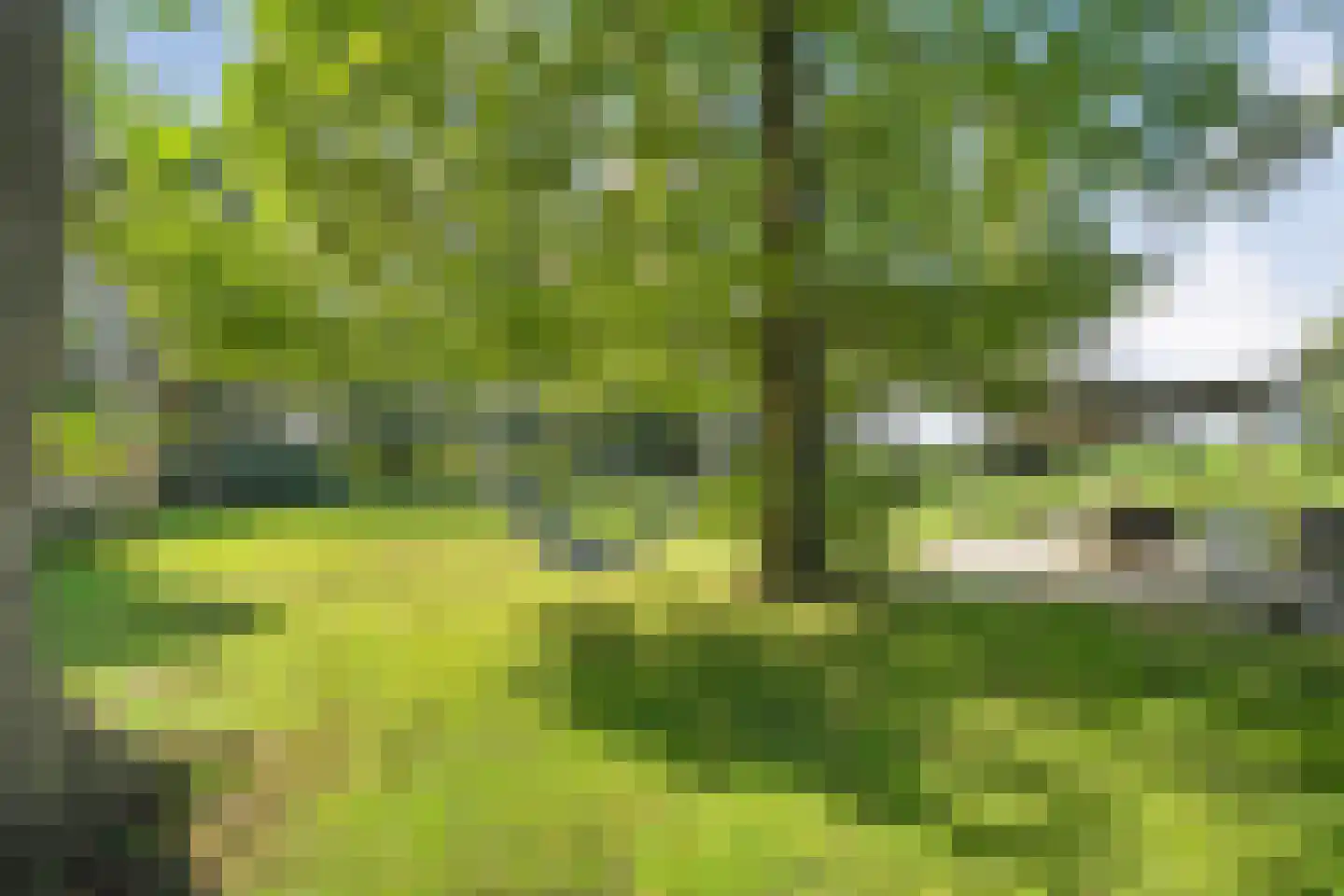 De Poele 2 Balkbrug thumbnail 60