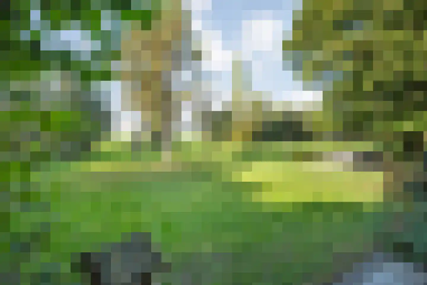 De Poele 2 Balkbrug thumbnail 61