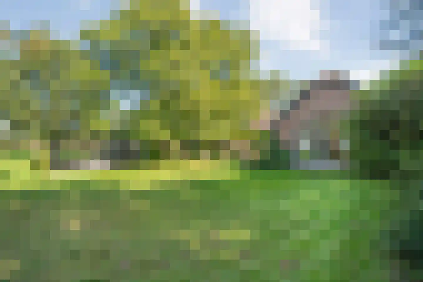 De Poele 2 Balkbrug thumbnail 62