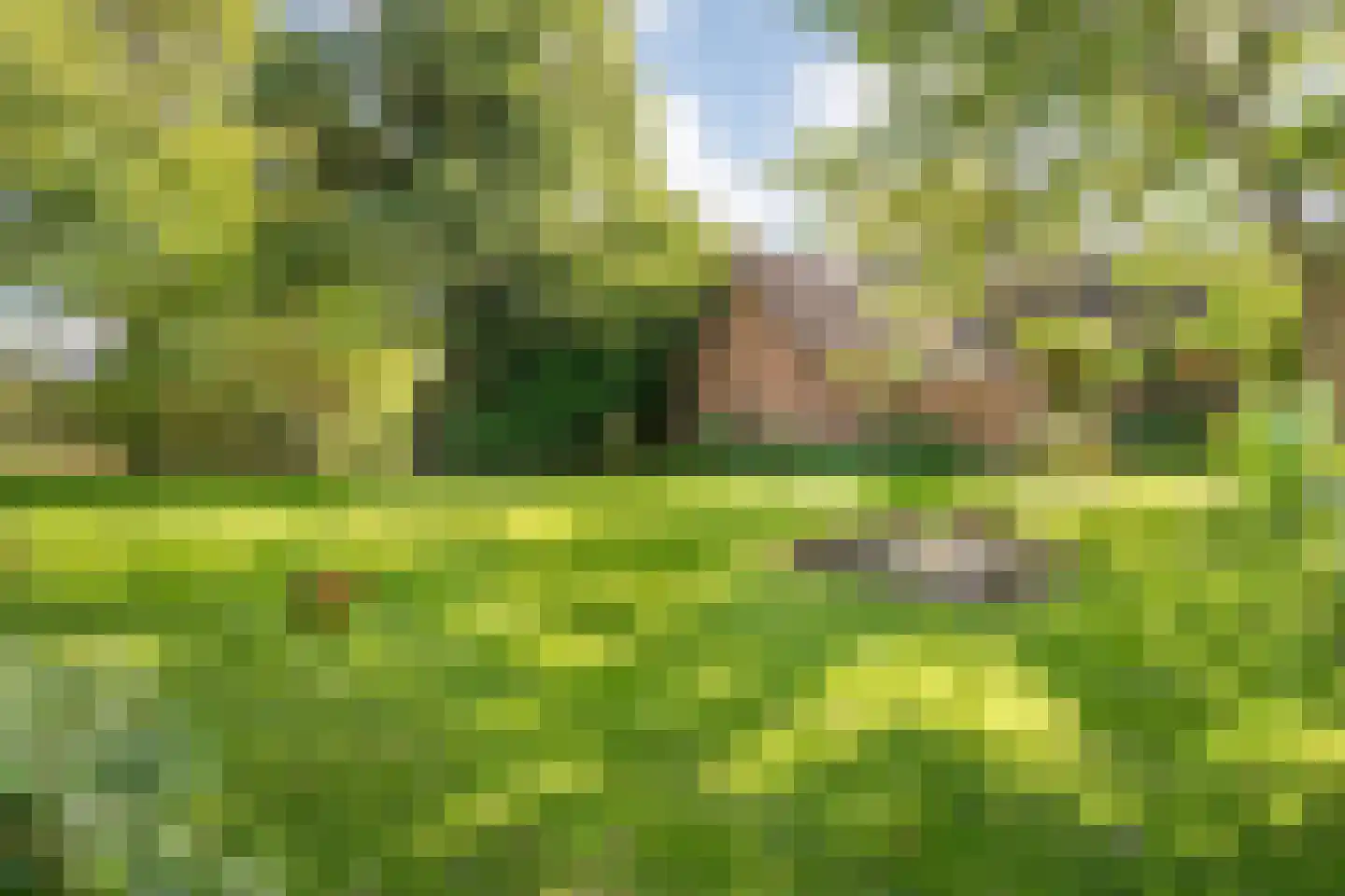 De Poele 2 Balkbrug thumbnail 66
