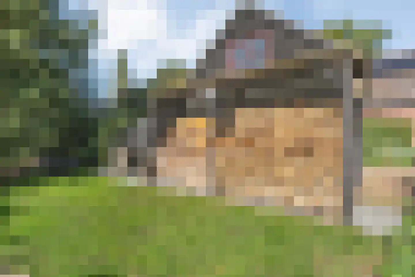 De Poele 2 Balkbrug thumbnail 68