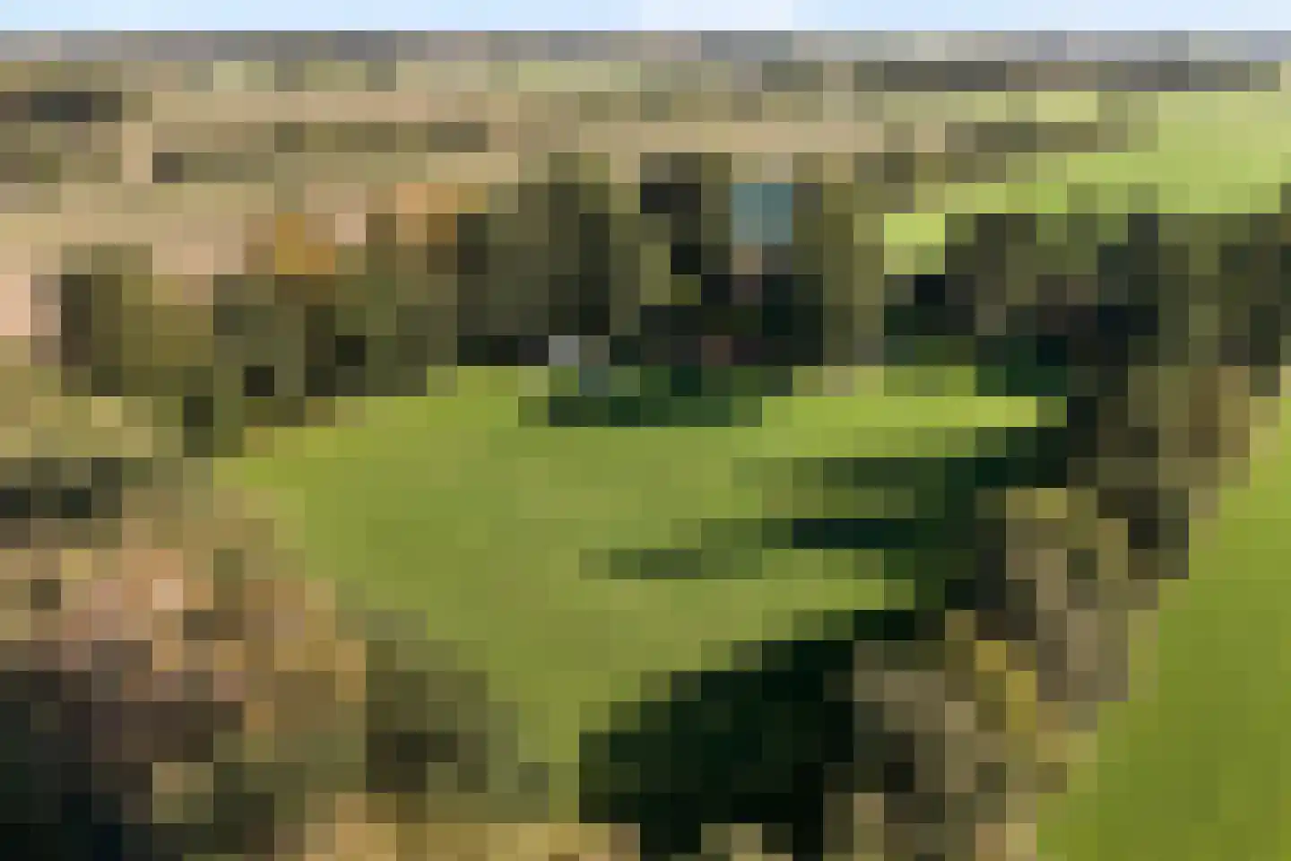 De Poele 2 Balkbrug thumbnail 70