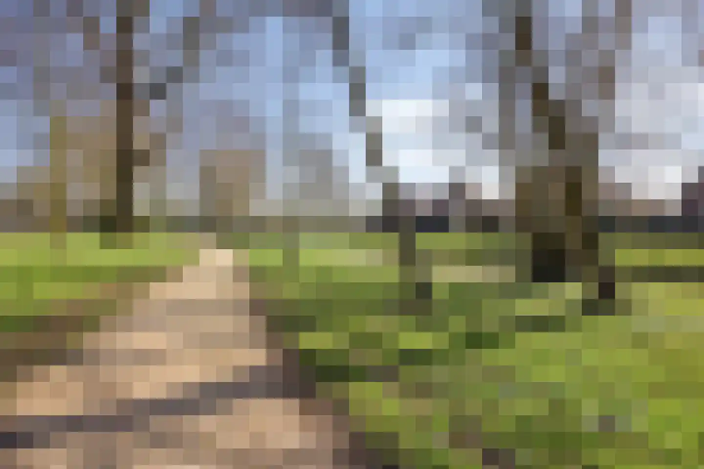 de Poelkes 6 Den Bosch thumbnail 24