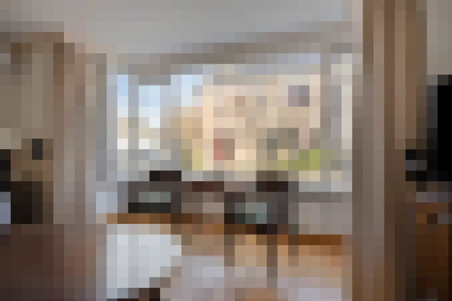 de Poelkes 6 Den Bosch thumbnail 6