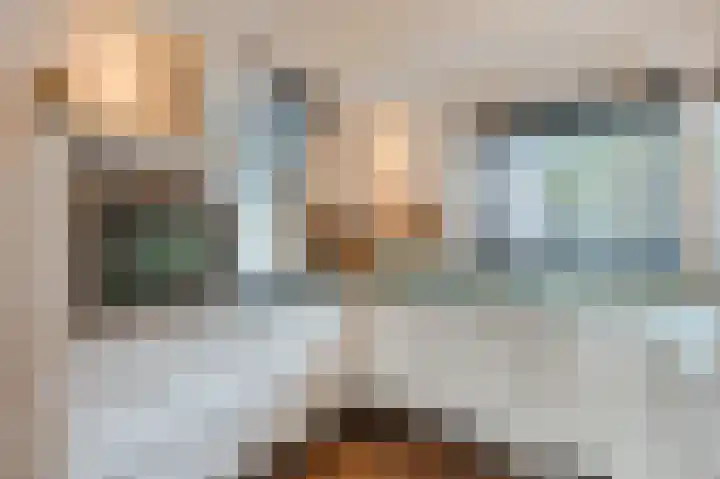 De Poelsnip 24 Zaandam thumbnail 11