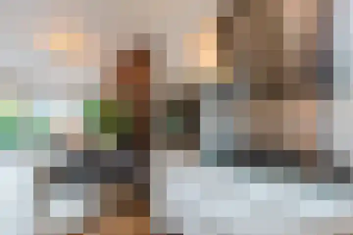 De Poelsnip 24 Zaandam thumbnail 13