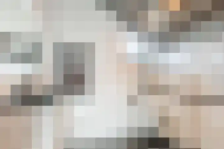 De Poelsnip 24 Zaandam thumbnail 15