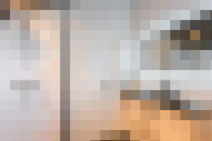 De Poelsnip 24 Zaandam thumbnail 17