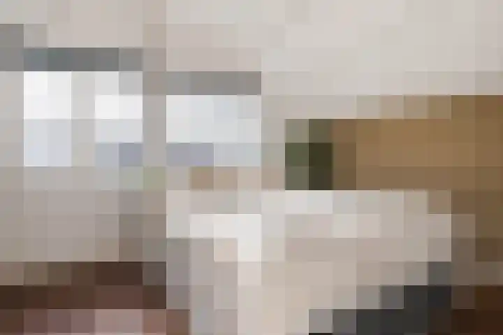 De Poelsnip 24 Zaandam thumbnail 18